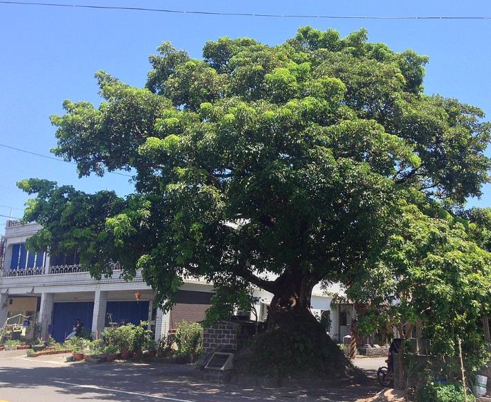 員山結頭份歐家初探