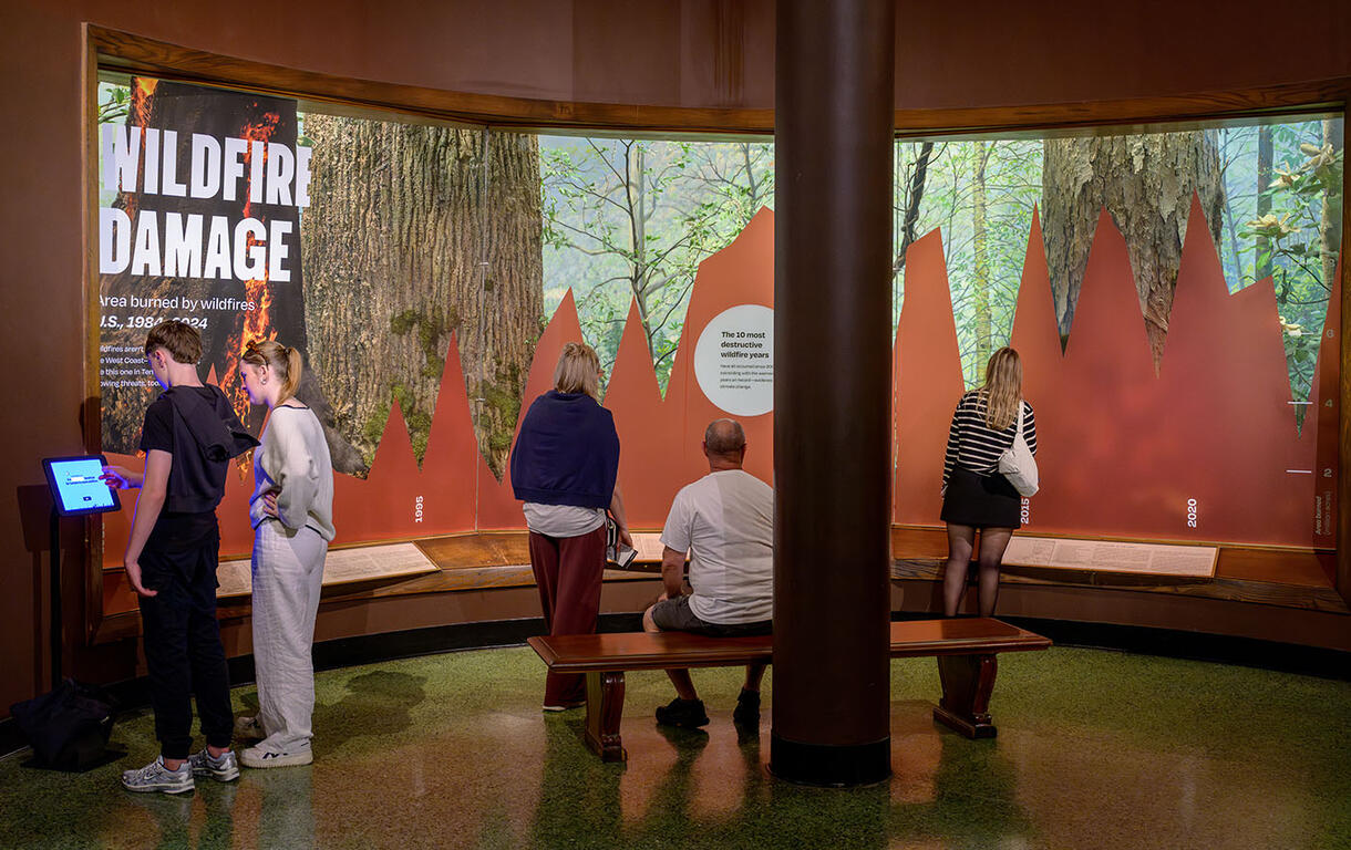 博物館的氣候行動力量