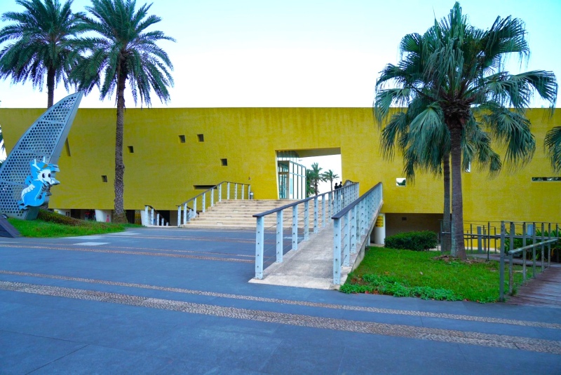 九號咖啡外澳館外牆是鮮豔黃色，門口左邊有兩顆很高的海棗樹，右邊有兩個蒲葵。