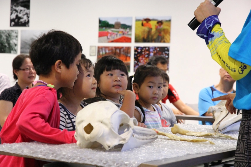 探索鯨奇課程上課照片