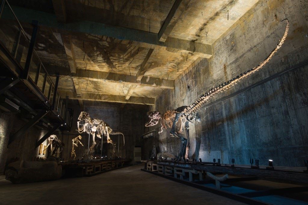 Robert Y瘋狂夢想藝術園區展示空間