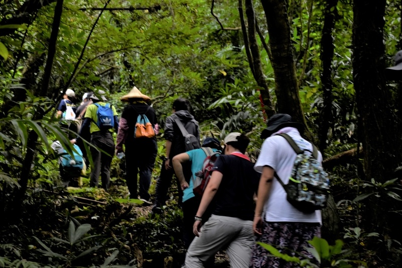 志工專業（特殊）及成長訓練 - 山之層(隆嶺古道自然生態教育訓練)志工爬山照片