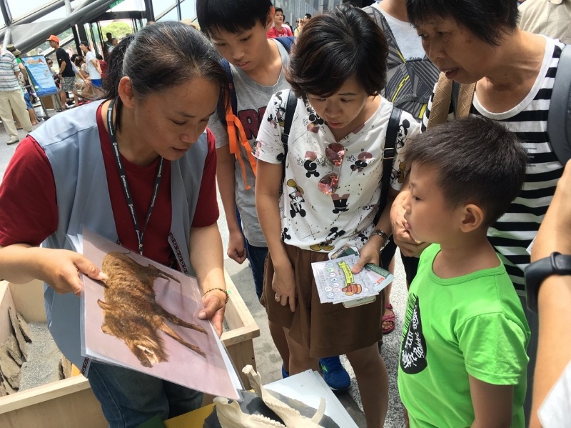 志工協助漢本特展教育推廣認識動物骨骼闖關活動照片